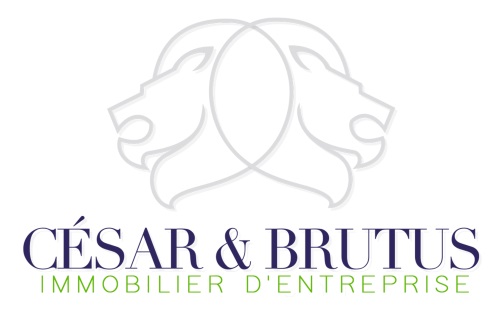 Logo CESAR - BRUTUS